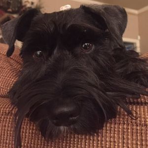 Meet your Posher, Jeanette